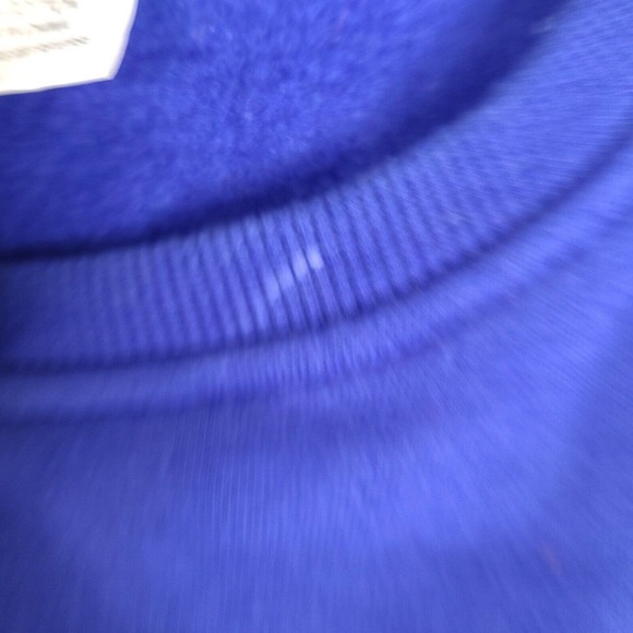 Princess Cruises South America Sweatshirt Adult XL Blue Long Sleeve Pullover - Picture 7 of 16